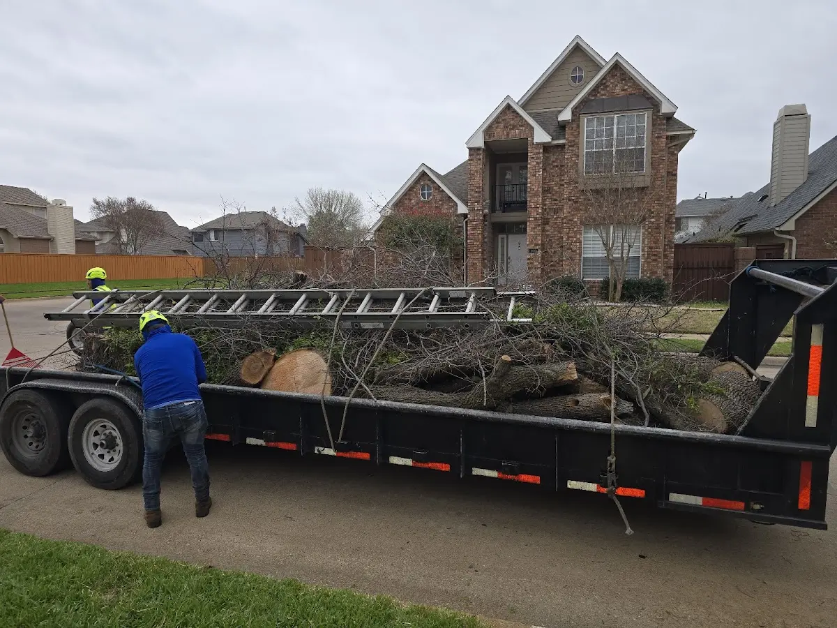 Expert Tree Fertilization with proper safety equipment in New Hampton